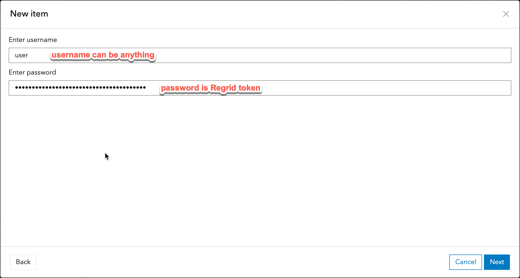 token in password field